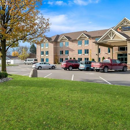 Comfort Inn & Suites Taylor Dış mekan fotoğraf